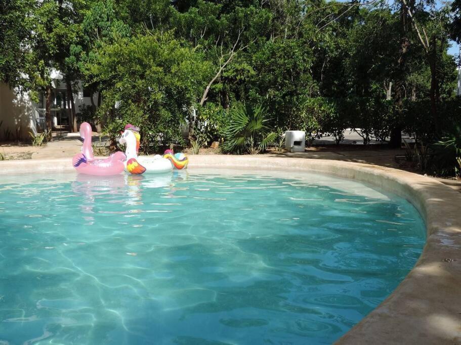 Departamento Residencial Con Alberca Cancun Dış mekan fotoğraf